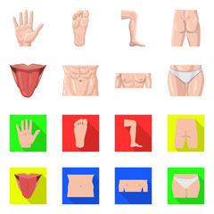 Isolated object of human and part sign. Collection of human and woman vector icon for stock.