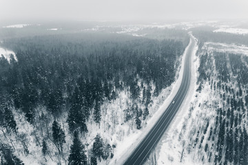 Aerial view of a wild cold winter forest.
