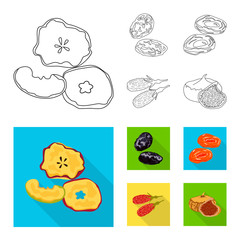 Fototapeta premium Vector illustration of food and raw sign. Collection of food and nature stock vector illustration.