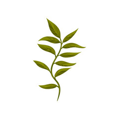 Tree twig with green foliage. Small branch with fresh leaves. Nature and botany theme. Flat vector design