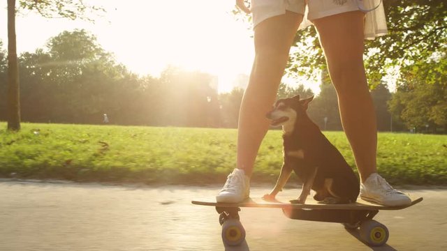 SUN FLARE, CLOSE UP: Cute senior dog sitting on the electric longboard and riding through the sunny park with its female owner. Unrecognizable woman skateboarding with the adorable miniature pinscher.