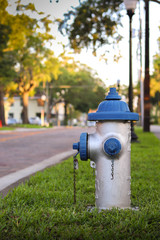 Fototapeta na wymiar Gray and blue fire hydrant in the street
