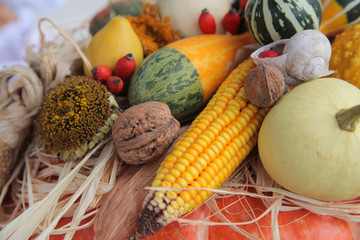 Autumn Harvest