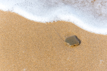 Spade Shaped Stone on a Sandy Beach with Surf