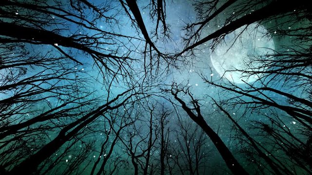 Moon Light and Snow Through the Trees 4K features a view up toward the sky through silhouetted tree branches looking at a full moon, moving clouds, and snow falling toward viewer