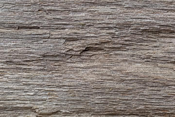 Naklejka premium Very Old Wood Background, closeup. wood texture . old and very aged wood texture close up. backgrounds, texture is very old wood in the process of prolonged natural decomposition and weathering. 