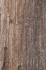 Very Old Wood Background, closeup. wood texture . old and very aged wood texture close up. backgrounds, texture is very old wood in the process of prolonged natural decomposition and weathering. 