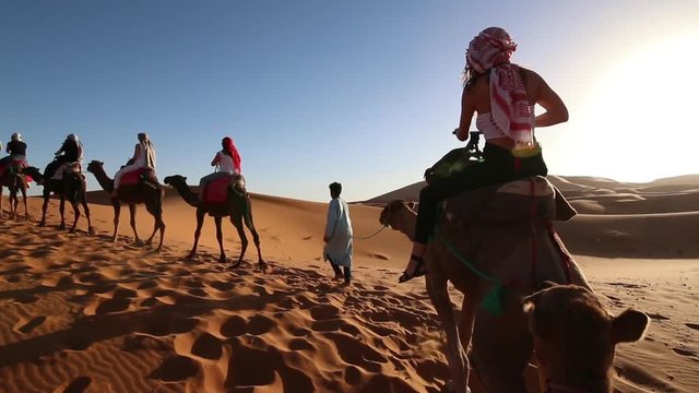 Camel Caravan slowly making it¬¥s way through the desert.  Vacation, activity and exploring cultures concept.