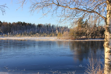 Frosty river with forest in the bakground