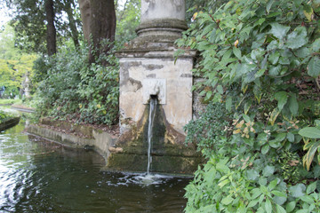 Obraz na płótnie Canvas Fountain of the dragon channel in Bardini Garden. Florence, Italy.