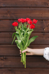 Waman's hand hold a red flowers on wooden background. Bouquet of tulips