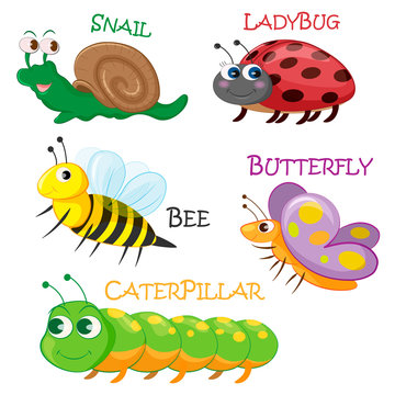 Collection of cartoon spring insects