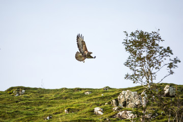 Trip to Scotland