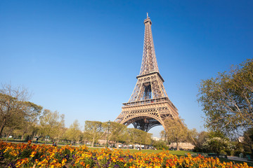 Obraz na płótnie Canvas Eiffel Tower with spring trees in Paris, France