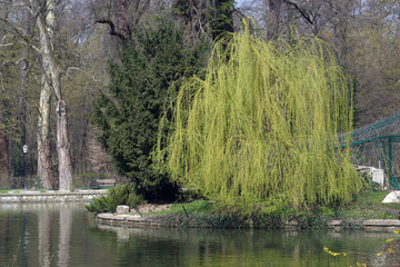 Beautiful spring landscape