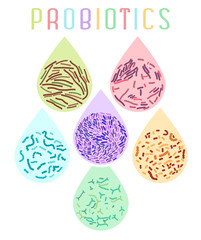 Probiotics Types Poster