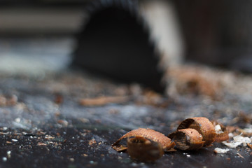 Sawdust on a woodworking machine.