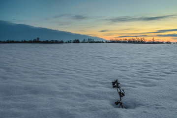 Evening winter Russian landscape