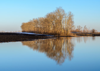 Obraz premium Landscape flood Spring