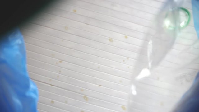 Empty plastic bottles are thrown into the bin for further recycling, bottom view. Waste management concept