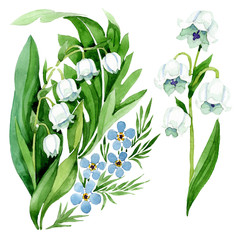 Forget me not and lily of the valley floral botanical flowers. Watercolor background illustration set. © yanushkov