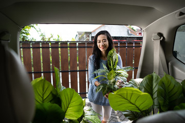 portrait of attractive young woman purchasing a new plant and flower for her house garden. asian woman with just plant in her car trunk