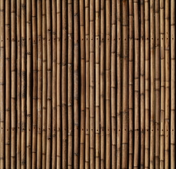 Bamboo sticks texture. The elements from top match with the bottom