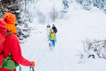 Group of young people with dog hiking in winter mountains. Man and woman and their friends trekkers traveling on snow trail in forest.