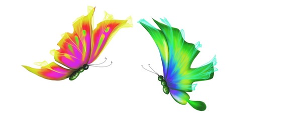 Schmetterlinge © juwelle