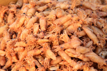 Cooked squid