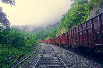 Fototapeta premium Railway and freight train passing through the jungle and mountains and going to the Dudh Sagar waterfall. Karnataka, India