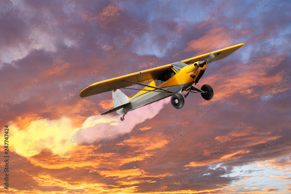 Wall mural small private airplane isolated on white background