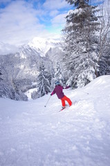 Naklejka na ściany i meble sports d'hiver - ski de piste
