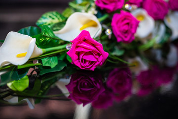 Pink Rose