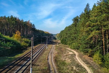 Obraz premium railroad in the forest with trees on both side