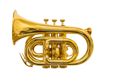 pocket trumpet isolated on white