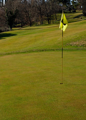 Obraz premium Golf course with hole and flag on a sunny day