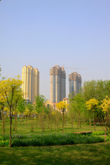 Fototapeta na wymiar city scenery, high-rise buildings and green