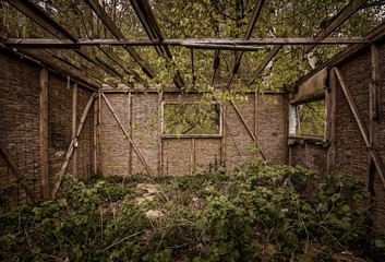 Fototapeta na wymiar Ruined wooden cabin, wooden costruction and green nature.