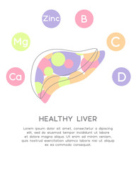 Minerals and vitamins for healthy liver. Illustration of vitamins B, C, D, Zinc, Mg, Ca in a rounded scheme. Abstract vector banner with the place for your text