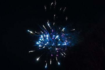 festive firework, fireworks in the night sky