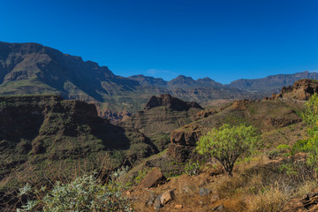 Canary islands gran canaria sunny day
