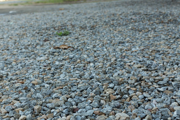 gravel of dirt road