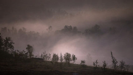 Foggy white night in the area of Nordgruvefeltet, Norway.
