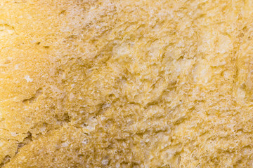 bread texture close-up