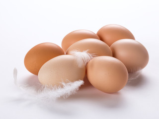 fresh farm chicken eggs with white feathers on white background
