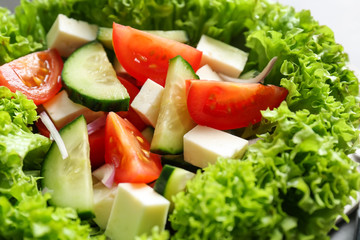 Fresh vegetable salad, closeup. Diet food