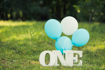 Green lawn in summer park decorated with blue and white decor for first baby boy birthday celebration. Word One and balloons standing on grass. Horizontal color photography.