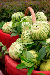 Melons in the basket