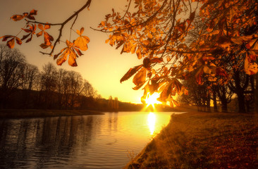 Altweibersommer